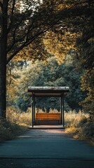 Rustic Bus Stop Bench In A Forest Setting