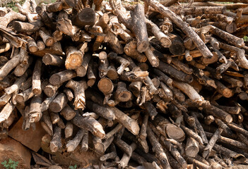 piles of dry firewood ready to be sold to the factory