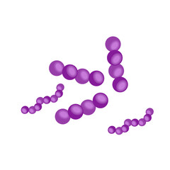 Streptococcus pneumoniae bacteria