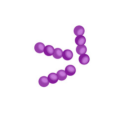 Streptococcus pneumoniae bacteria