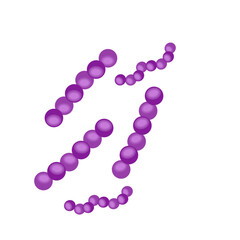 Streptococcus pneumoniae bacteria