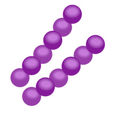Streptococcus pneumoniae bacteria
