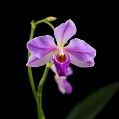 intricately detailed wildflowers