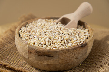 Raw pearl barley porridge Gluten free cereals. Health gut benefits. Concept of alternative whole spelt grain ingredient. Vegetarian diet recipes. Plant-based lifestyle. Copy space Protein rich eating 