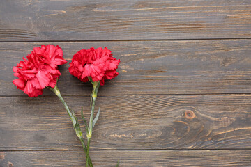 Two red carnations on brown wooden background