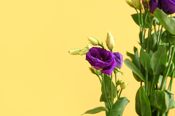 Obraz premium Purple eustoma flowers and buds with green stems on a bright yellow background, floral arrangement for celebrations and decor
