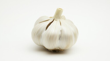 Obraz premium A single, fresh zucchini with its smooth, dark green skin and elongated shape