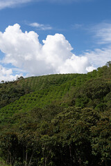Obraz premium clouds over the mountains of a lemon crop