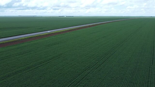 aerial view of a soybean plantation in Correntina Bahia Brazil