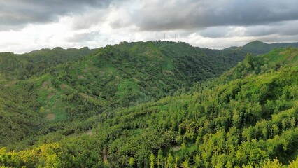 Naklejka premium Drone view of hills and trees with footpath at Silancur Hill, Kebumen, Central Java, Indonesia