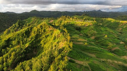 Fototapeta premium Drone view of hills and trees with footpath at Silancur Hill, Kebumen, Central Java, Indonesia
