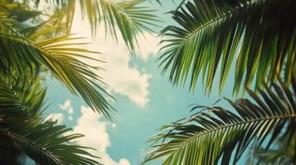 Fototapeta premium Boho botanical frame with tropical leaves, Ultra HD, summer sale theme, minimalist design