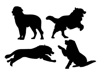set dog silhouette vector Bernese Mountain Dog