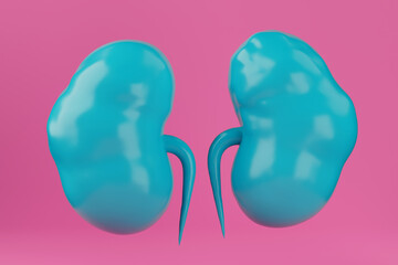 Blue Abstract Human Kidneys Anatomy Structure. 3d Rendering