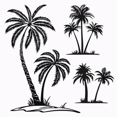 Fototapeta premium set of palms