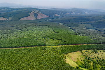 Naklejka premium Arxan National Forest Park, Xing'an League, Inner Mongolia, China