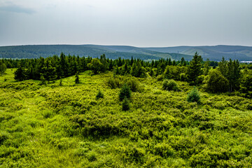 Arxan National Forest Park, Xing'an League, Inner Mongolia, China