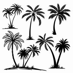 palm trees silhouettes