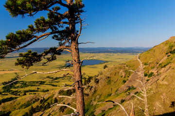 Views at Bear Butte State Park, South Dakota