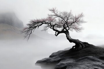 A solitary tree with twisted branches emerges from a rocky outcrop, surrounded by dense fog. The soft light of dawn creates an ethereal atmosphere, highlighting nature&rsquo;s beauty