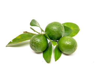 small oranges are still unripe