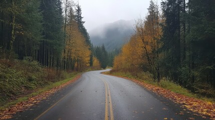 Fototapeta premium 22.A scenic curved road lined with tall trees in full autumn colors, the ground blanketed in fallen leaves, with a misty mountain backdrop.