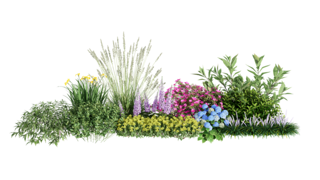 3d rendering illustration nature meadow bush on lawn grass field beautiful plant on isolate background landscape