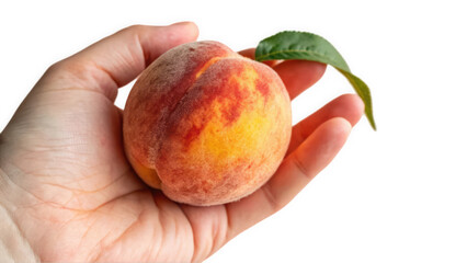 A close-up of a fresh, ripe peach held in a hand, showcasing its vibrant colors and soft texture.