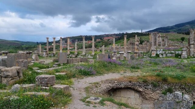 Panoramic view of the ancient Roman city of Djemila, showcasing scattered columns and ruins surrounded by vibrant spring blossoms under an overcast sky