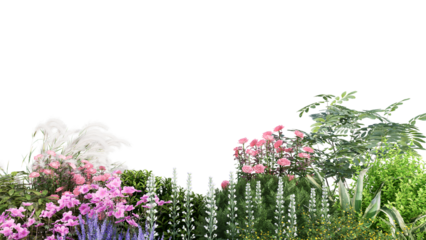 3d rendering illustration nature meadow bush on lawn grass field beautiful plant on isolate background landscape