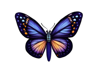 A Close-Up of a Purple and Orange Butterfly with Black Dots on Its Wings