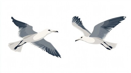 Fototapeta premium Majestic Seagulls Soaring in Monochrome Wide Angle Sky