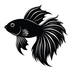 Obraz premium Betta fish silhouette isolated in White background