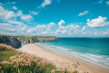 Beach view on a cliff with beautiful flowers