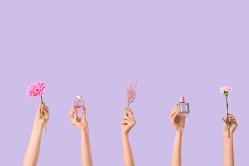 Female hands with bottles of perfume and flowers on lilac background