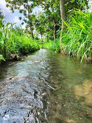 Clear river splits green expanse