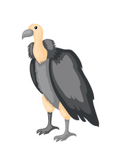Fototapeta premium vulture desert animal