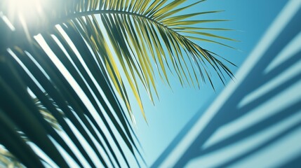 Fototapeta premium Sunlit Palm Fronds and Abstract Shadows Against a Vivid Blue Sky