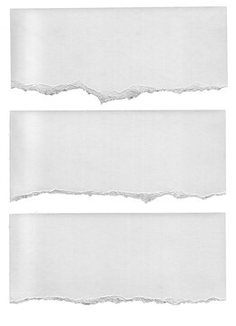 Ripped Torn Paper Edge Texture