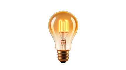 Illuminating Ideas Warm toned LED Edison Light Bulb 