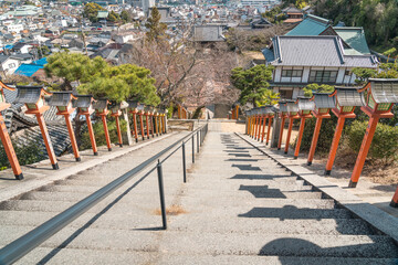Red traditional architecture and torii gate of shrine in Japan travel