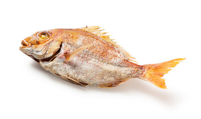 Traditional Japanese Grilled Tai Fish Isolated on White Background