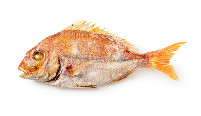 Traditional Japanese Grilled Tai Fish Isolated on White Background