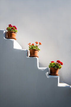 Flower pots on a staircase of a white building, Greece