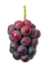 Fresh Japanese Pione Grapes Isolated on White Background