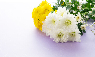 White and Yellow Chrysanthemums on a Purple Background - Japanese Mourning Symbol
