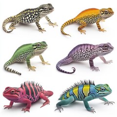 Naklejka premium Vibrant Lizards Collection Diverse Color Patterns and Scales, Close-up Studio Shot on White Background
