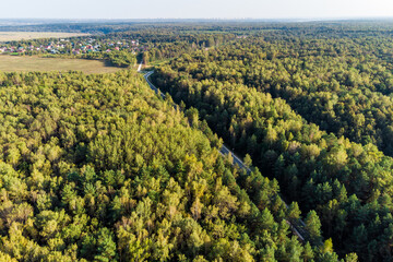 Country road going through dense forest, bird's eye view