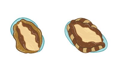 Raw abalone shell sea food in food ingredients