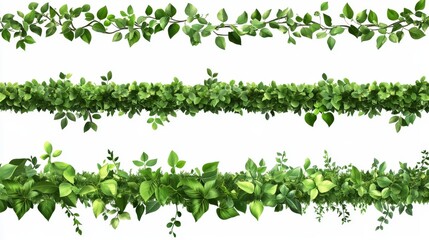 Ivy vines with green leaves, creepers branches with foliage isolated on white background. Vector realistic set of horizontal borders of greenery, climbing plants